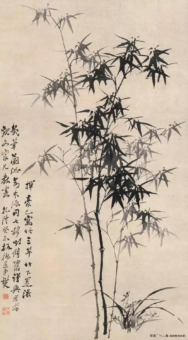 八雅轩丨【艺术经典】石涛. 郑板桥.吴昌硕.吴镇.启功“五家竹风飘然而至