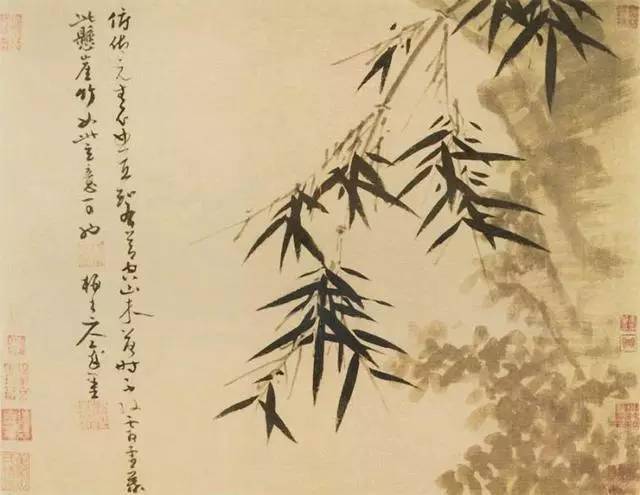 八雅轩丨【艺术经典】石涛. 郑板桥.吴昌硕.吴镇.启功“五家竹风飘然而至
