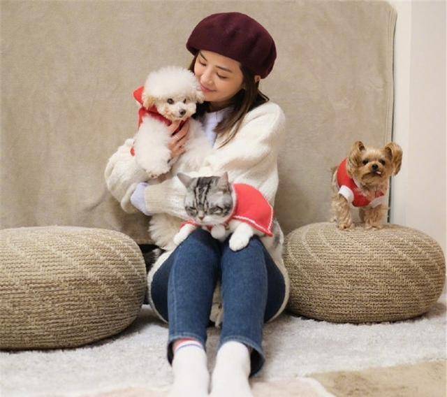 蔡卓妍为爱宠举办圣诞晚会，可爱小猫小狗戴圣诞帽抢镜！太有爱了