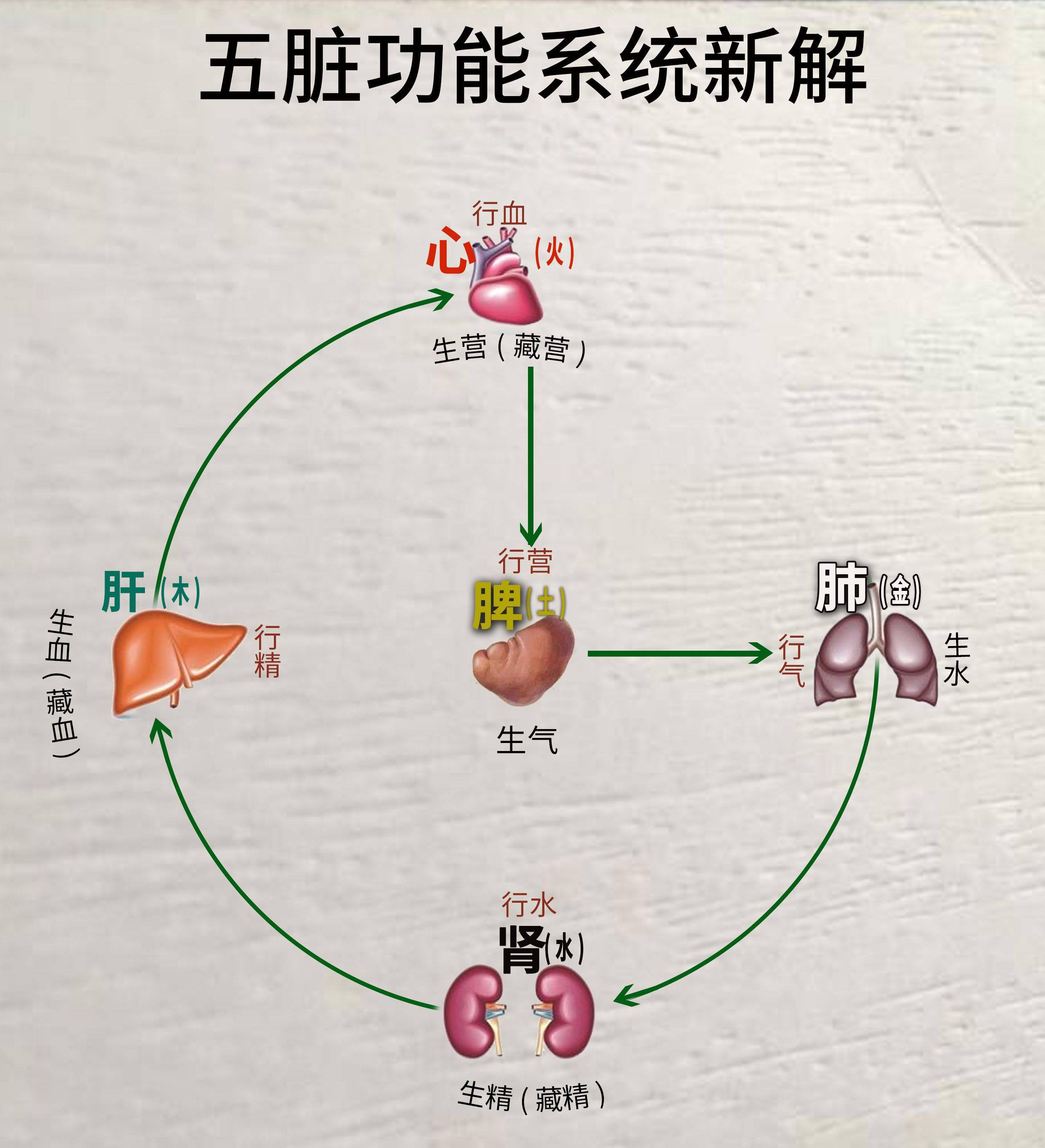 火行人的性格特点与情绪管理方法