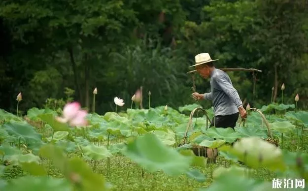 景德镇旅游攻略自助游攻略2020