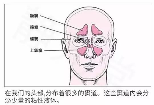 治鼻炎少了这一步，你99%的努力都是白费！