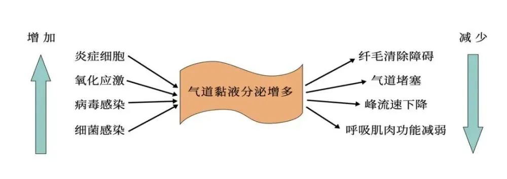 咳白痰带泡沫是怎么回事_咳白色粘液痰是什么病_咳白