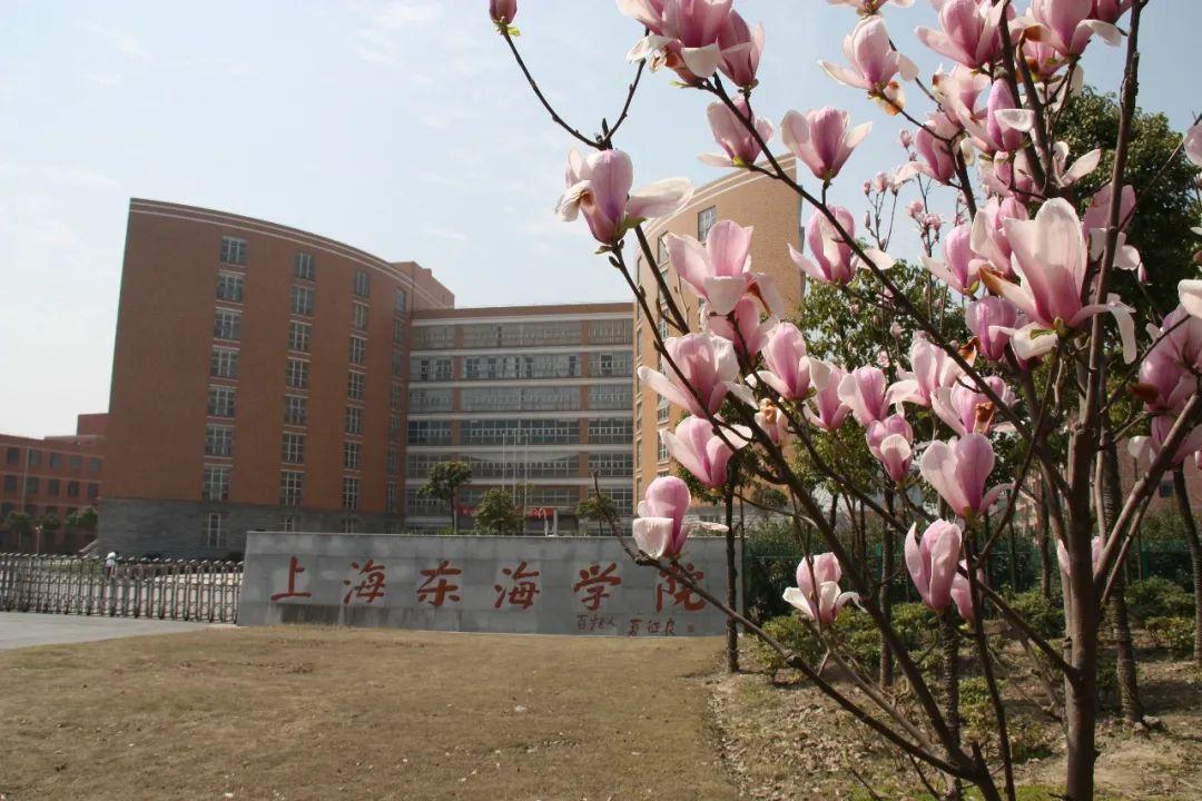 上海东海职业技术学院_上海东海学院图片_上海东海学院录取通知书