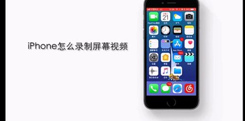 苹果手机内部进水检查方法