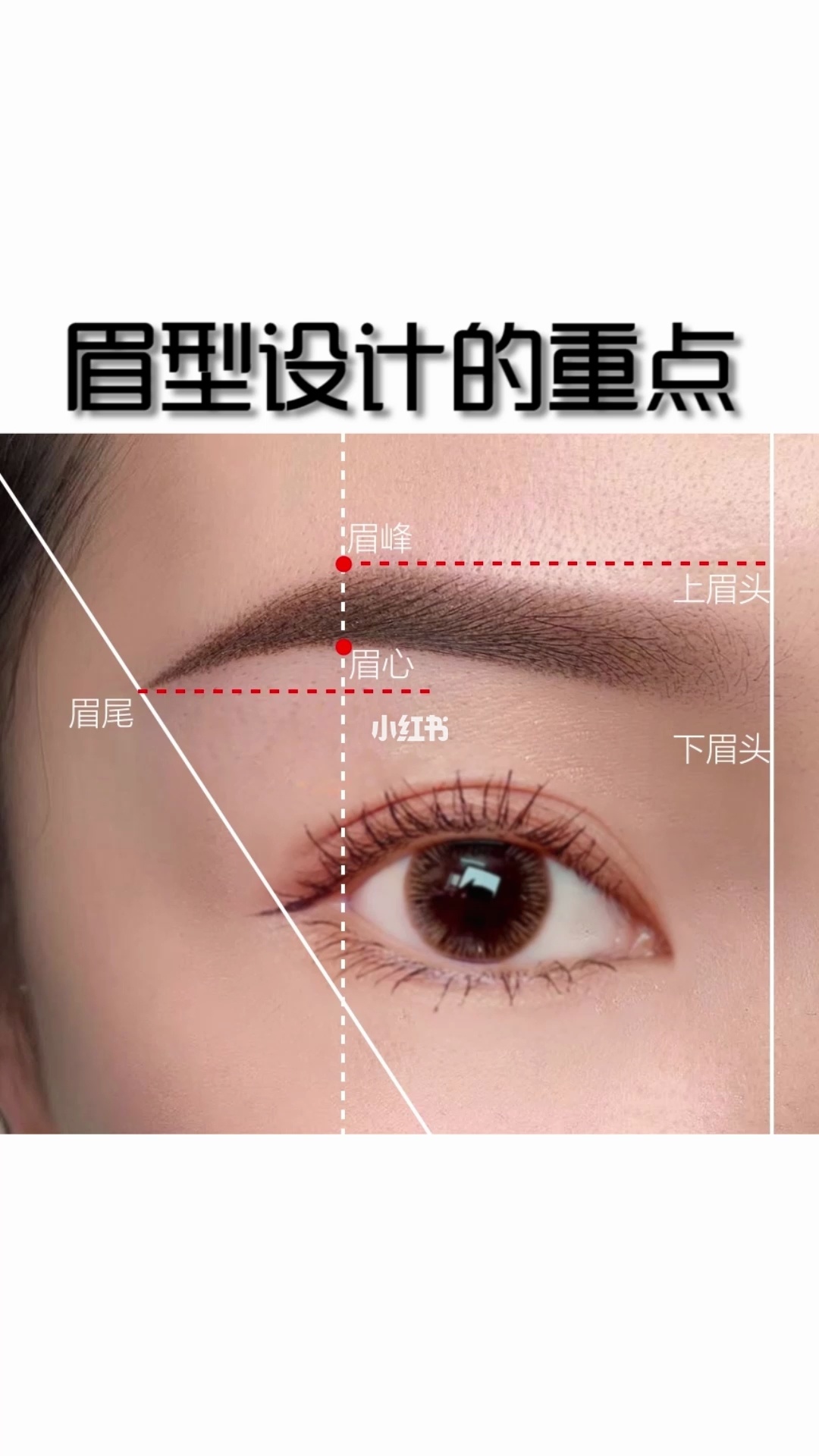 眉毛看相_眉毛看相女人_眉毛有痣看相