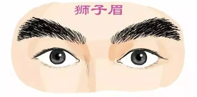 眉毛看相_眉毛有痣看相_眉毛看相女人