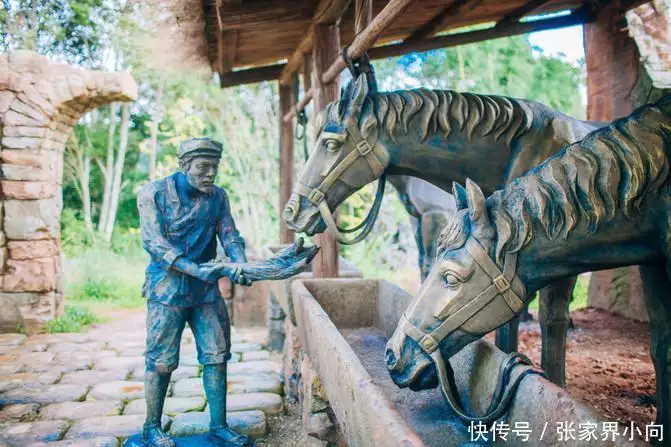 云南西双版纳旅游_西双版纳旅游介绍_西双版纳旅游费用