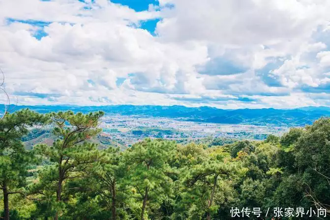 云南西双版纳旅游_西双版纳旅游介绍_西双版纳旅游费用
