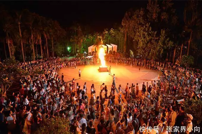 西双版纳旅游介绍_西双版纳旅游费用_云南西双版纳旅游