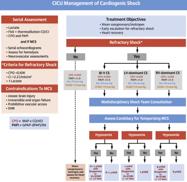干货丨JACC子刊最新综述：心源性休克的标准化综合管理