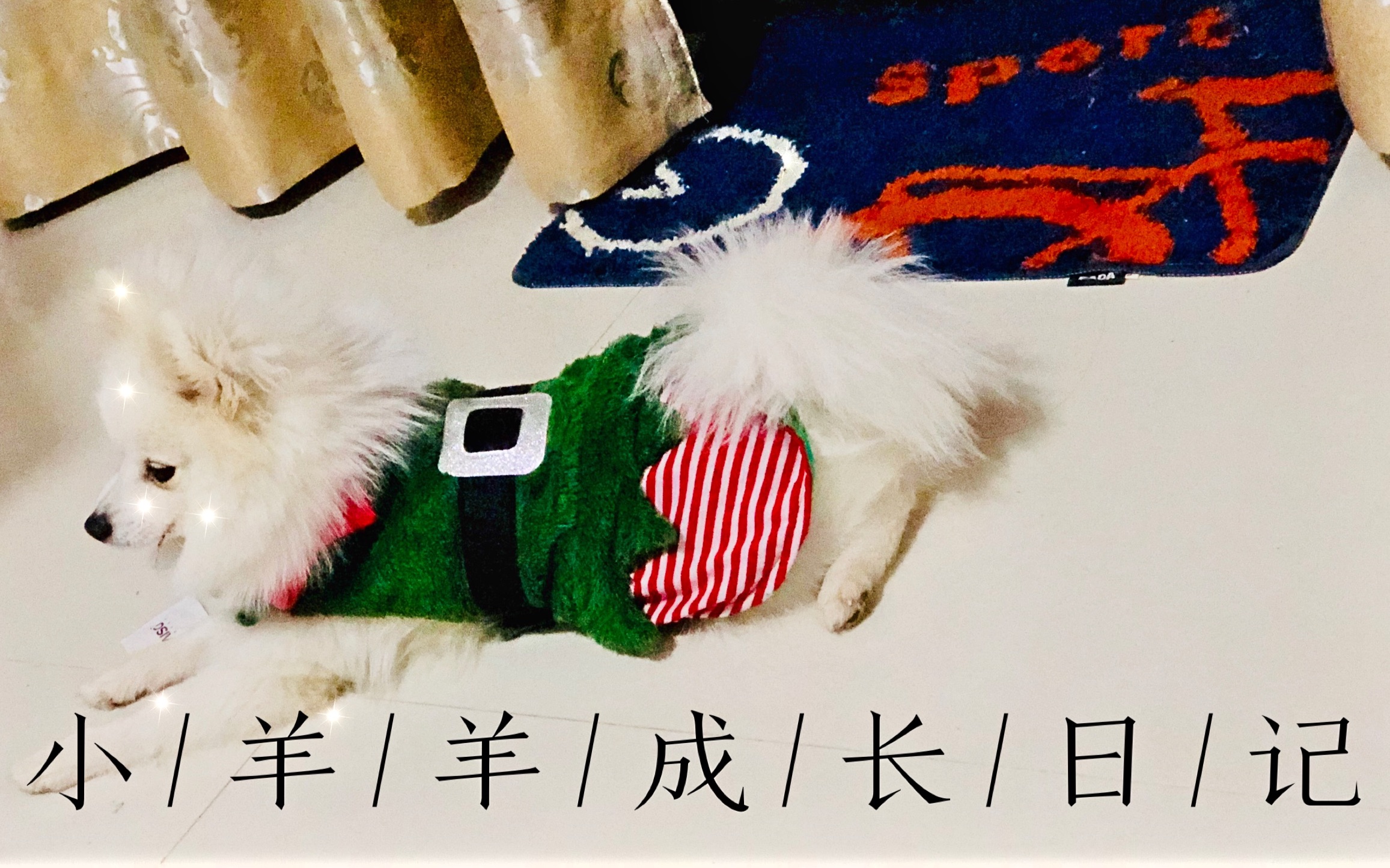 回家游戏_妈妈请回家游戏_回家游戏手机版