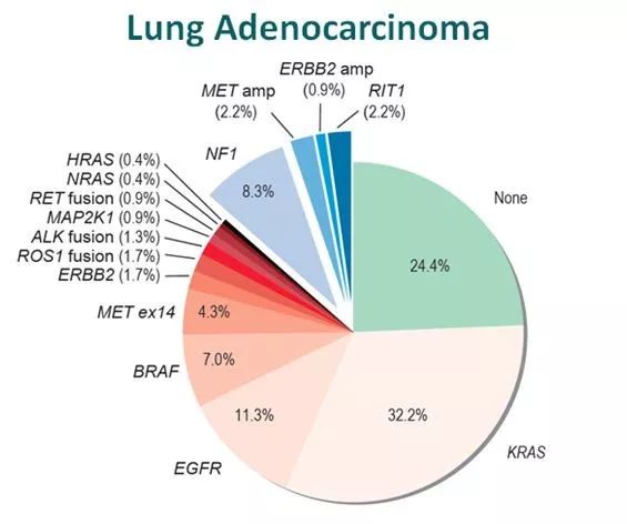 肺癌丨精准医疗，MET靶向治疗新突破