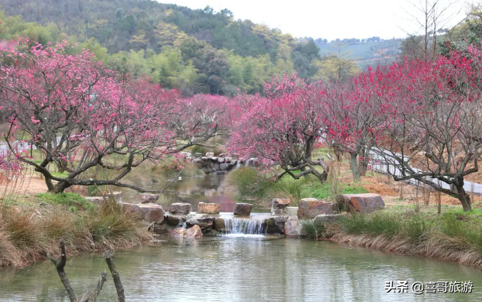 浙江旅游胜地_五台山旅游攻略 浙江_浙江情侣自驾游胜地