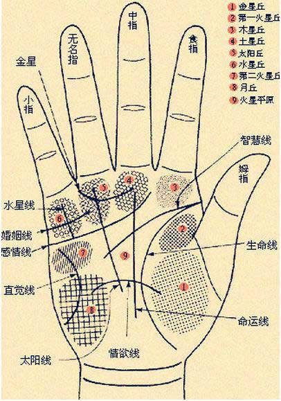 女人手相算命图解