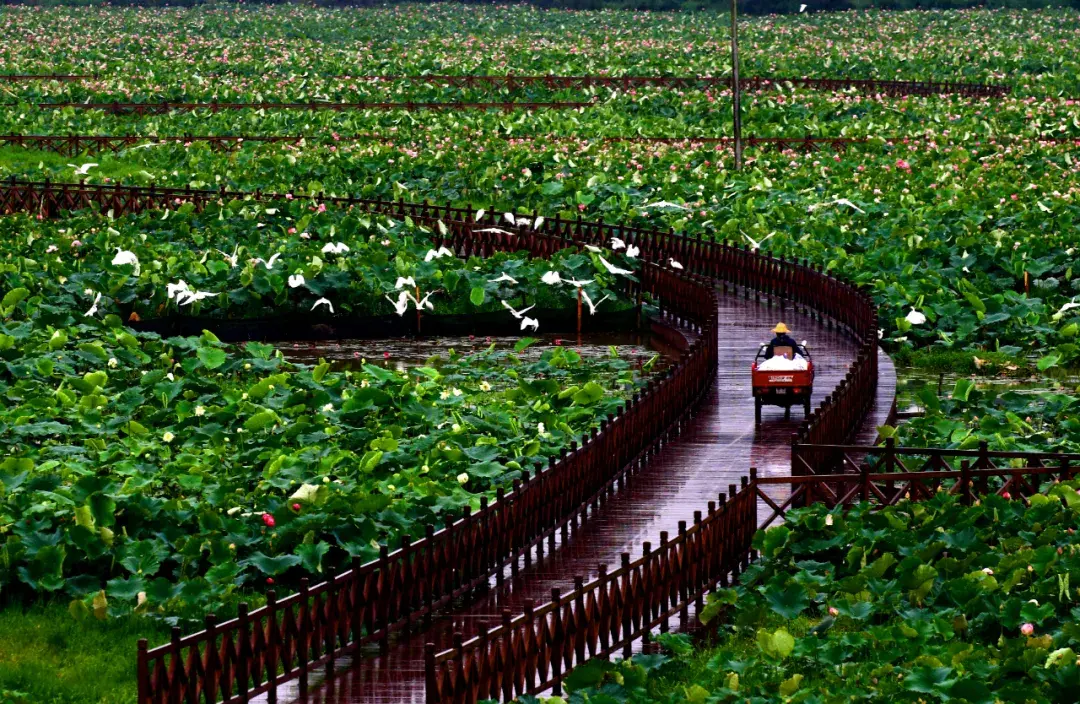 云南腾冲有哪些景点_云南腾冲旅游景点_云南腾冲景点图片欣赏