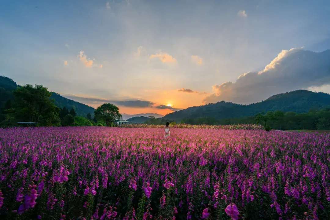 云南腾冲有哪些景点_云南腾冲旅游景点_云南腾冲景点图片欣赏
