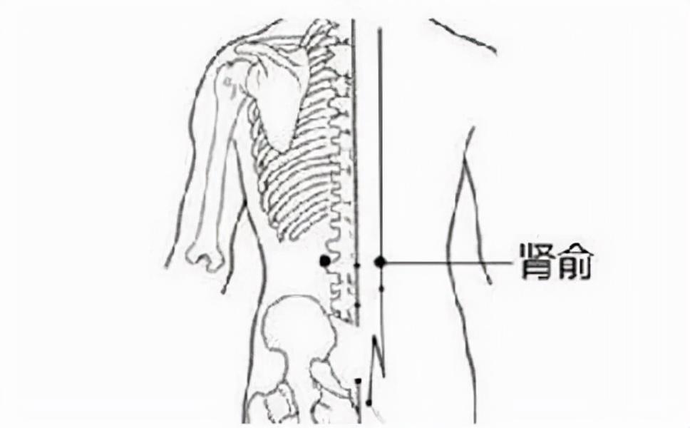 肾保健按摩是什么_肾经保健是怎么做的_养生会所 肾保健 按摩