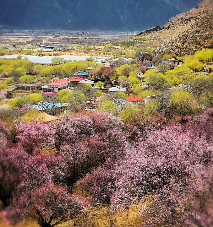 普拉多川藏自驾游记_川藏游包车游多少钱_川藏公路自驾游