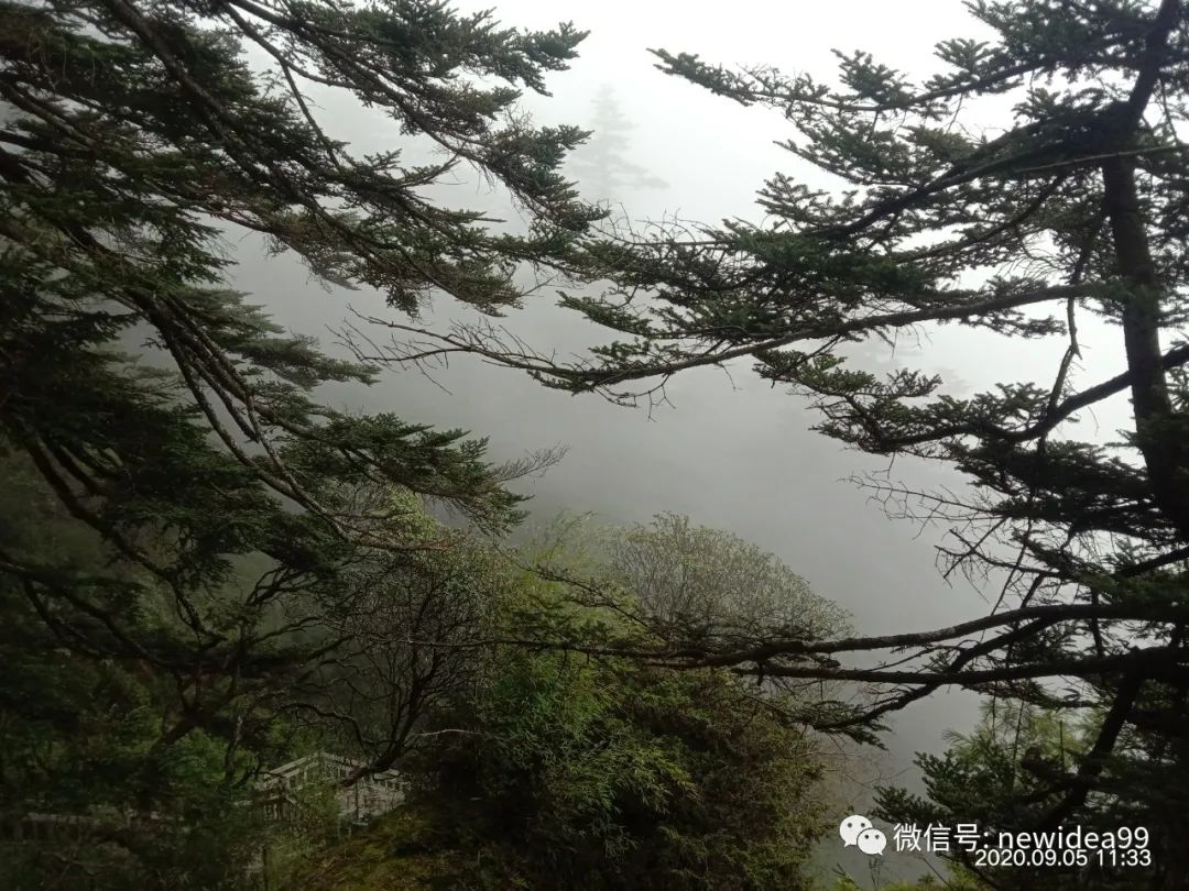 自驾湖北旅游攻略_西安自驾武汉游攻略_湖北自驾游