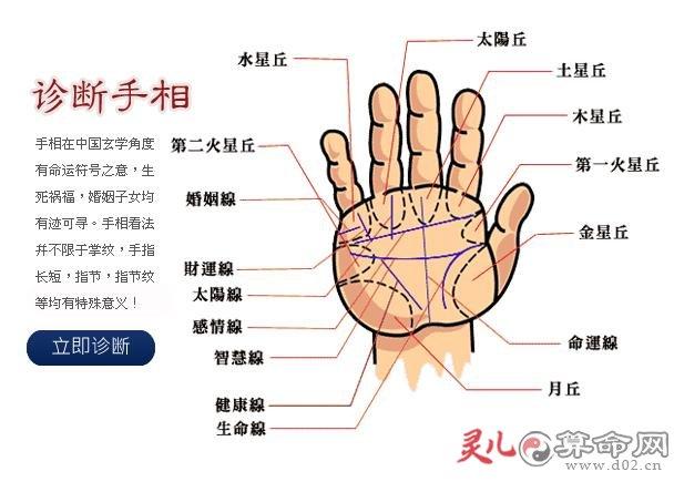 看手相算命图解,男人看手相算命图解