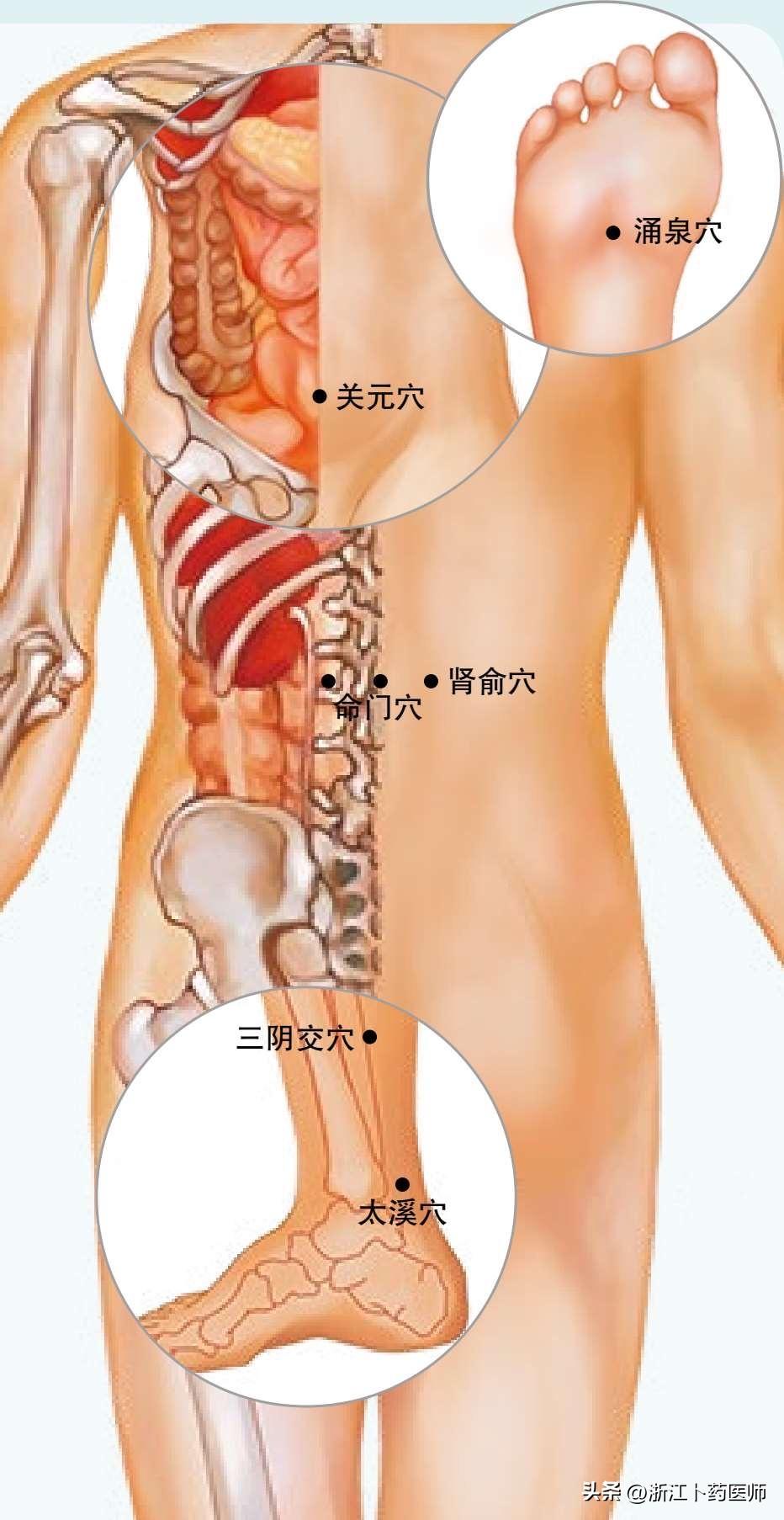 肾脏的后天保养重要，保护与滋养肾精、肾气，不过早地耗竭