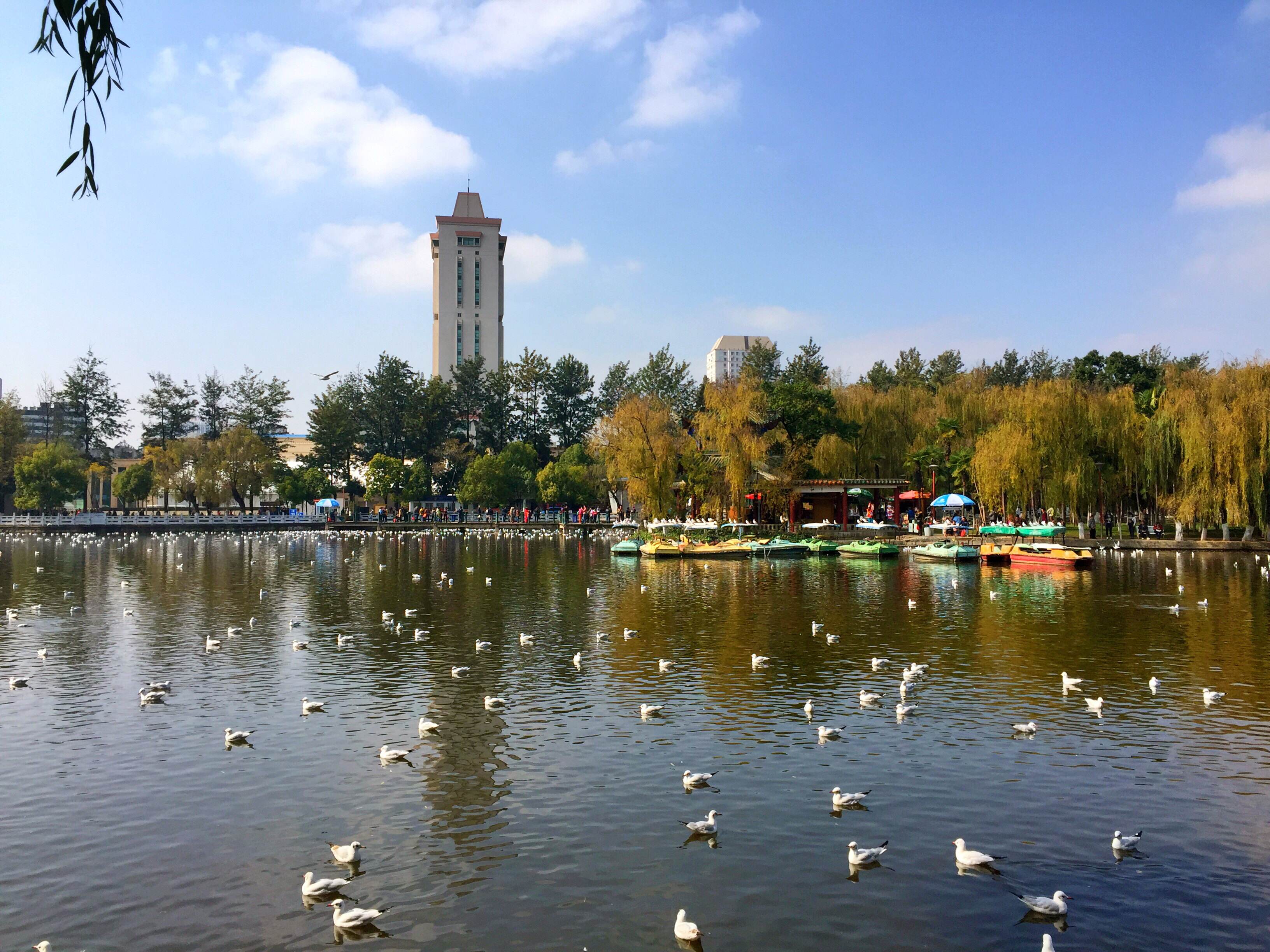 云南昆明旅游景点排名 昆明市旅游景点排名