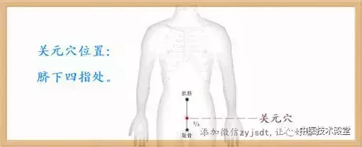 肾不好怎么按摩保健图片_肾保健按摩是什么_肾保养是按摩哪里