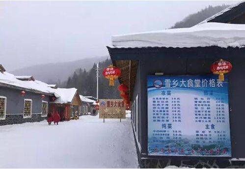 最靠谱攻略 600元可以这样玩转雪乡