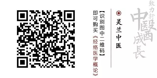 经络_电动经络按摩仪可以打通经络吗_腿部经络6条经络的位置