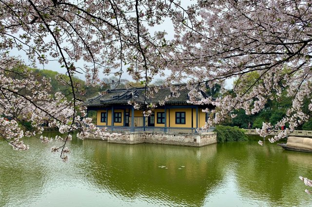 安徽十大周边游景点 安徽附近旅游景区哪里好玩 安徽周边城市旅游景点