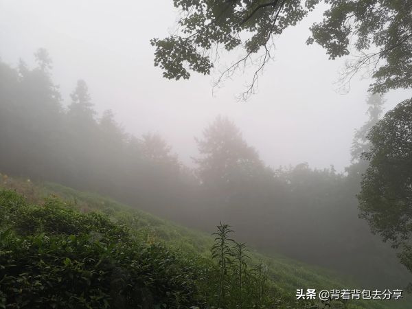 图片[5]-安徽必去十大旅游景点(安徽十大著名景点推荐)-萌草酱