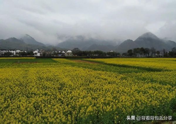 图片[9]-安徽必去十大旅游景点(安徽十大著名景点推荐)-萌草酱