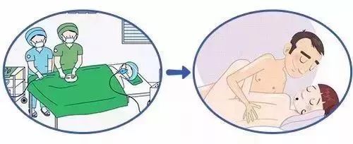 男性生殖问题_男性生殖器大小_男性生殖生理学图集