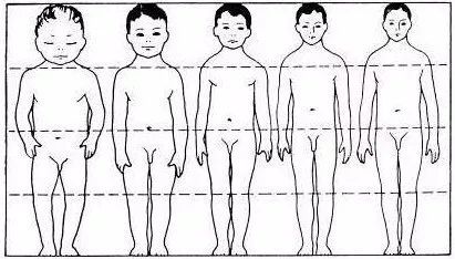 男性生殖生理学图集_男性生殖器大小_男性生殖问题