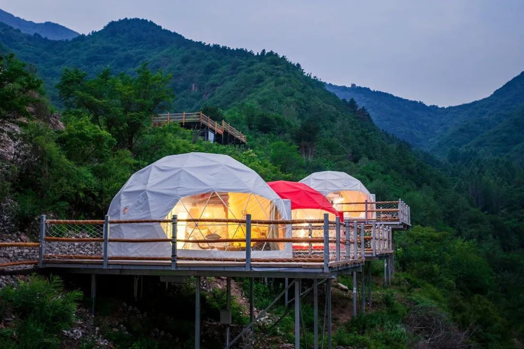 山野悍农_山野_山野悍农全文阅读