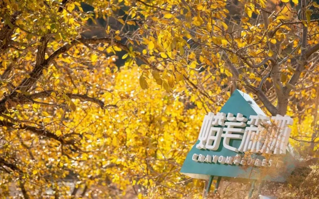 山野_山野悍农全文阅读_山野悍农