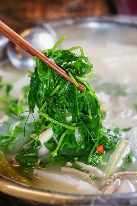【美味】豌豆尖儿统治内江人餐桌的盛世又到了！