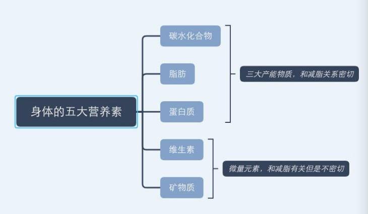 不吃主食可以减肥？辨一辨这些传言的“含金量”