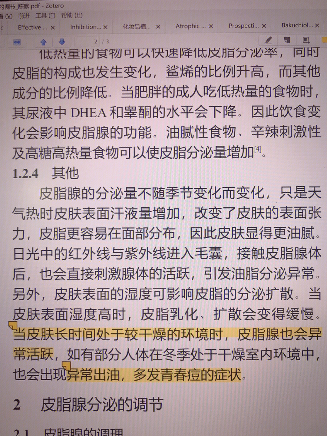 鼻子两侧皮肤粗糙