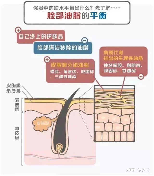 鼻子两侧皮肤粗糙