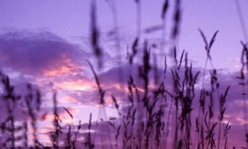 老师节送什么礼物好_三八妇女节送什么礼物最好_7夕节送什么礼物