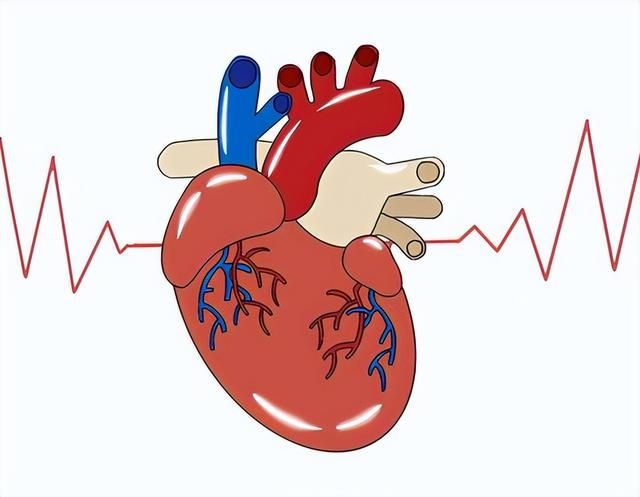 心跳多少次算正常？医生：中国、美国、欧洲执行标准都不一样