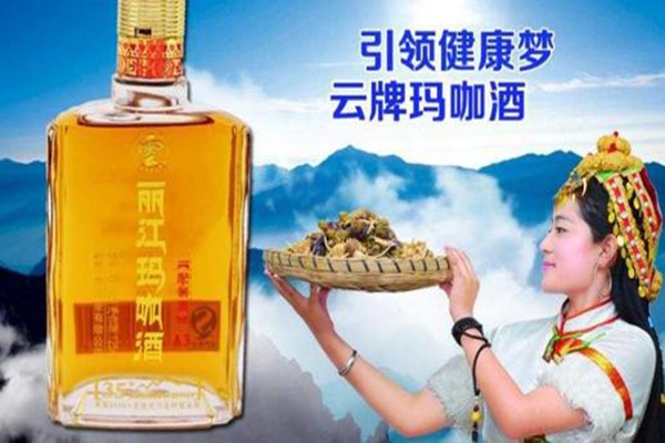 云牌丽江玛咖酒加盟