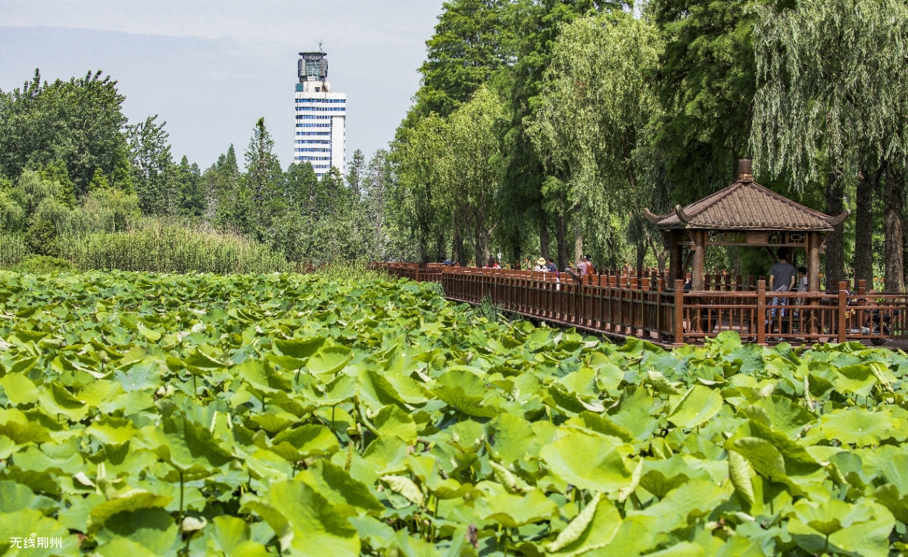 宜春市市里有什么好玩的地方(宜春市有哪些地方好玩)