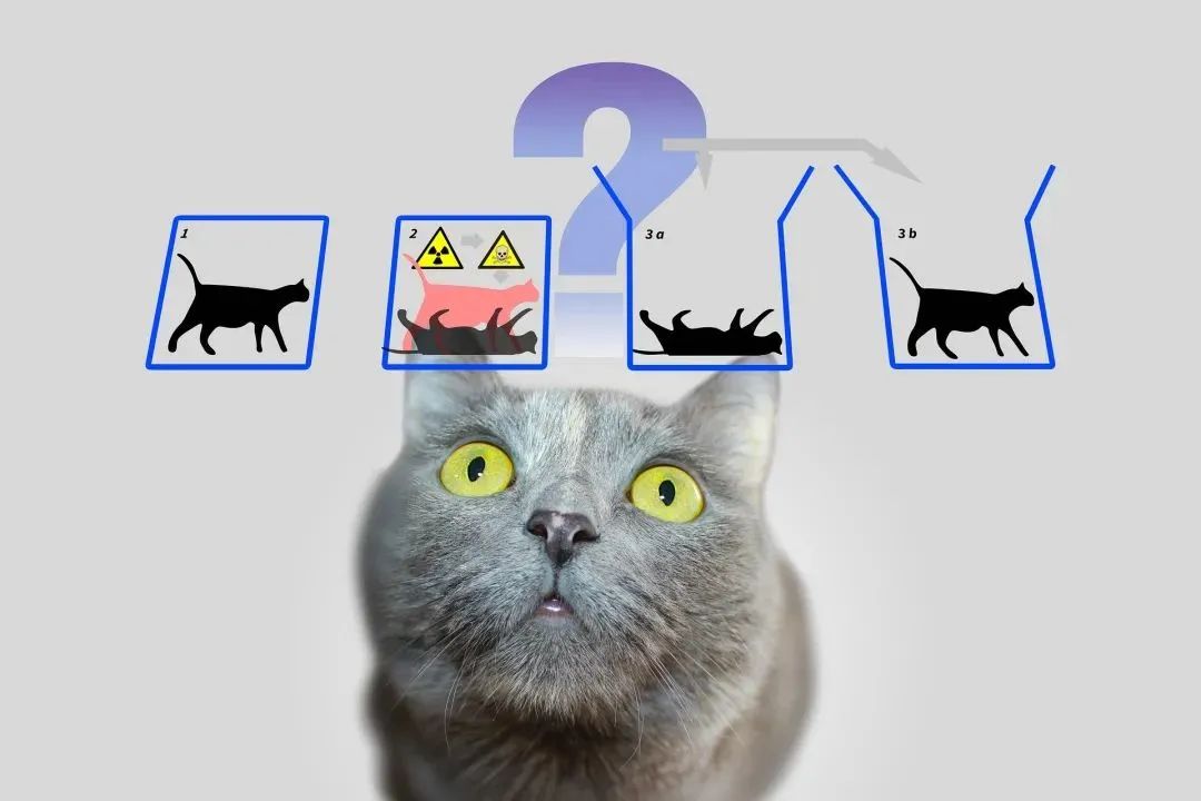 爱因斯坦简介_爱因斯坦的贡献_爱因斯坦