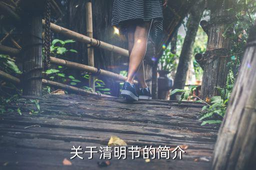 清明节简介，什么叫清明节简介