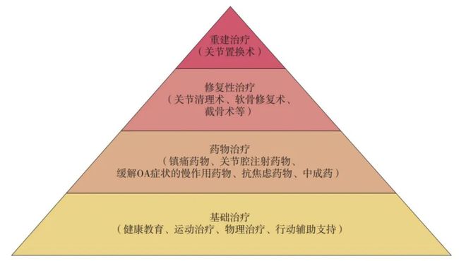 骨性关节炎吃什么药_膝关节骨性关节炎的健康教育_关节内注射透明质酸治疗膝关节骨性关节炎疗效观察