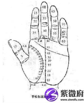 手相流年图解_手相偏财流年_手相流年