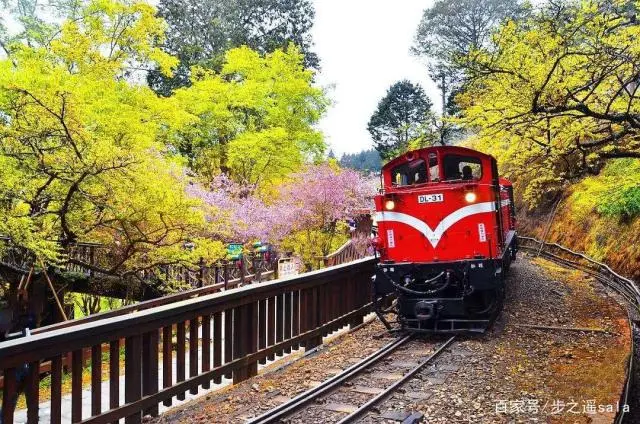 台湾旅游攻略_台湾旅游攻略封面_台湾旅游攻略台湾必买东西